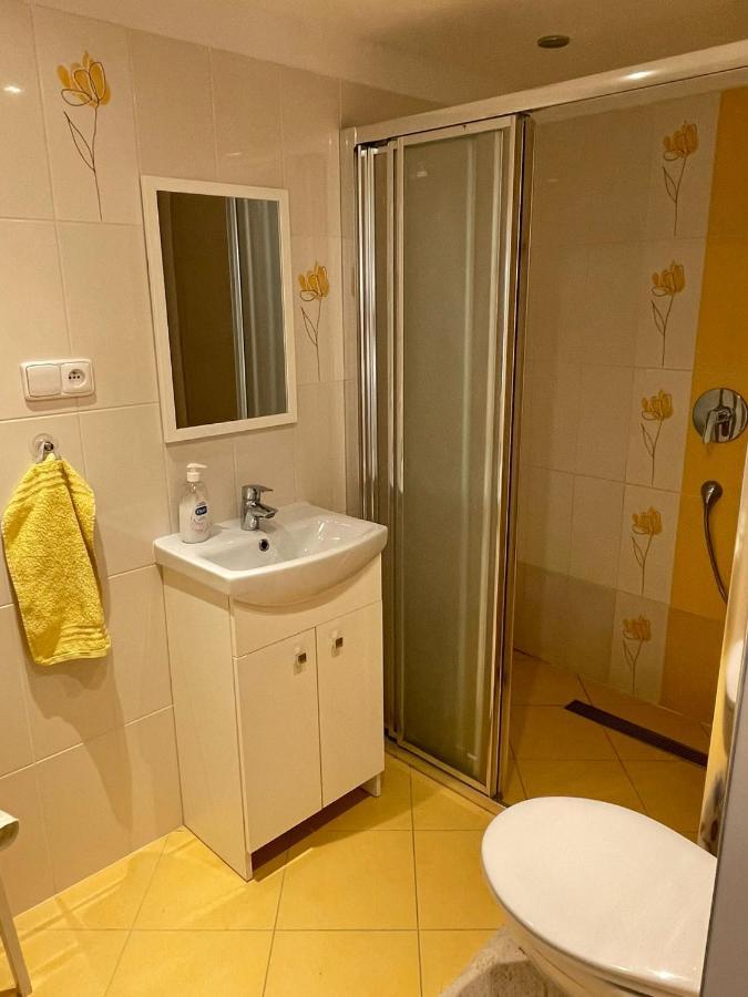 Apartman V Podhuri Jizerskych Hor Zelezny Brod Extérieur photo